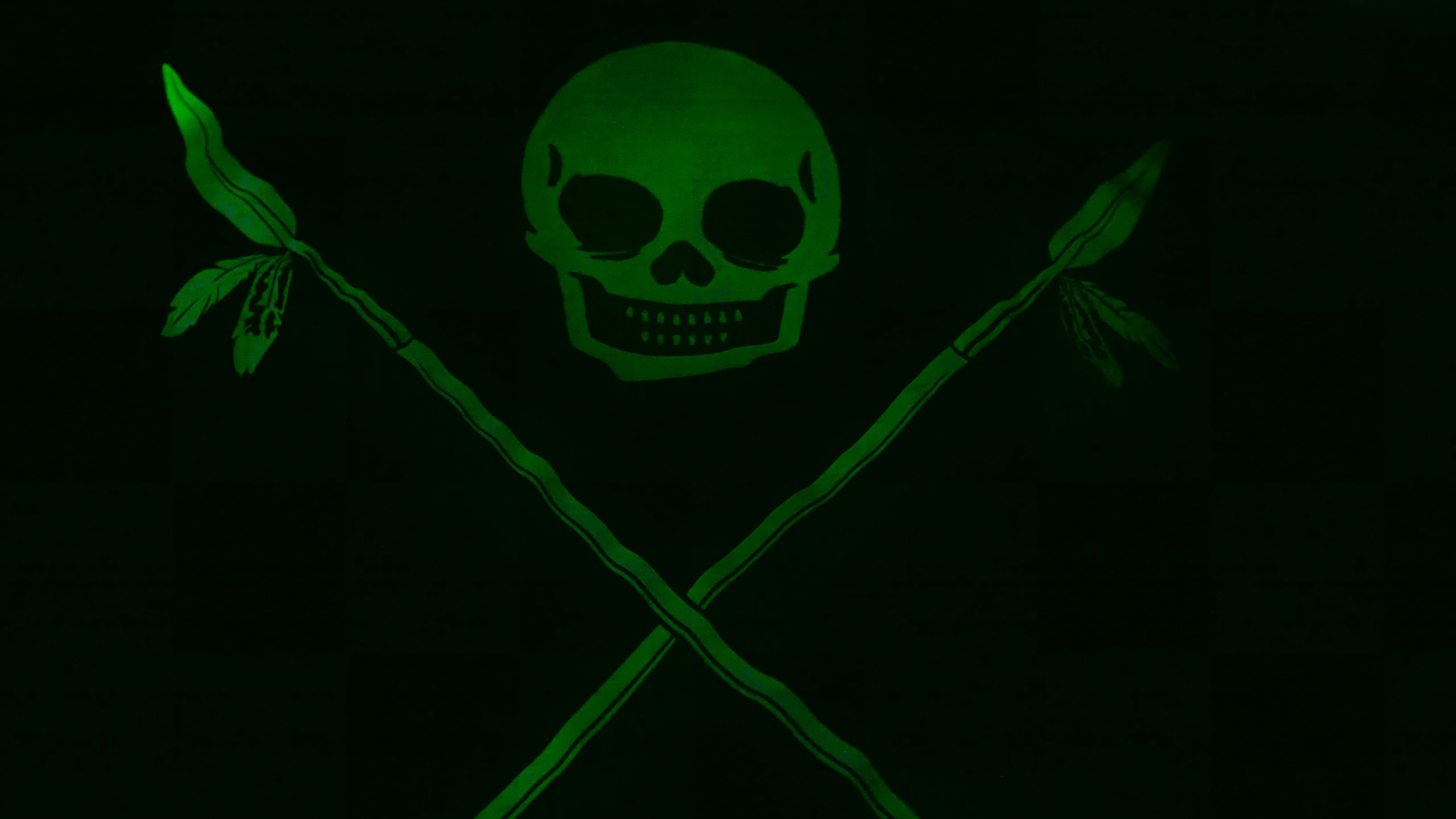 close-up of green glow-in-the-dark on a black t-shirt